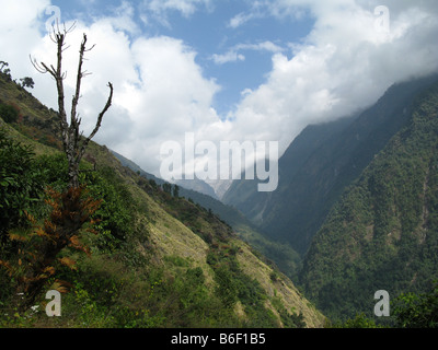 Madi Khola valley visto da tra Chhomrong e Jhinu Danda, Annapurna pedemontana, Gandaki, Himalaya, Nepal, Asia centrale Foto Stock