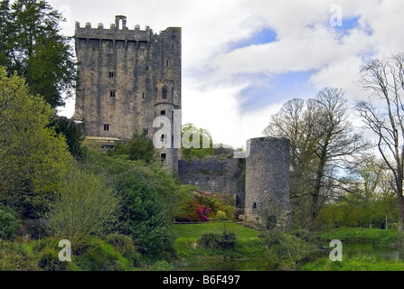 Blarney Castle, sede della leggendaria pietra di Blarney, Irlanda Foto Stock