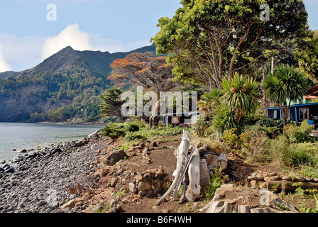 Linea costiera e una casa all'insediamento sul isola di Robinson Crusoe, precedentemente noto come Juan Fernandez, Cile, Isola di Robinson Foto Stock