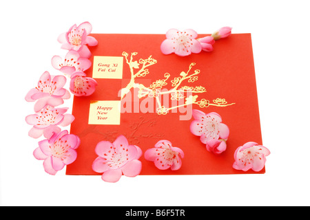 Anno Nuovo Cinese saluti e prugna Fiore su bianco Foto Stock