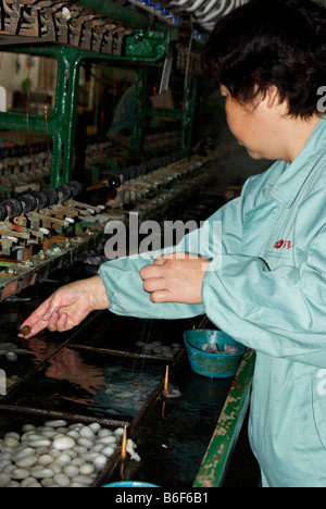 Donna alla fabbrica di seta tenendo a partire fili di seta da otto bozzoli di bachi da seta in acqua calda a girare in un filo continuo Foto Stock