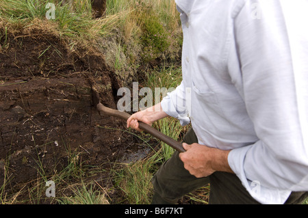 Turf digger in Hohen area Venn, Belgio, Europa Foto Stock