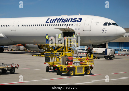 Personale di Terra su un hydrolic sollevare il carico e lo scarico di una delle compagnie aeree Lufthansa Airbus A 340 - 600 al Frankfurt am Main airpo Foto Stock