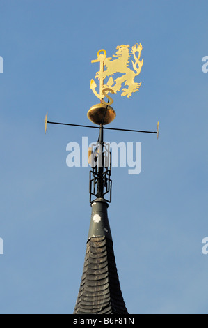 Lion weathervane con un ancor, cresta, sul municipio, Duesseldorf, nella Renania settentrionale-Vestfalia, Germania, Europa Foto Stock