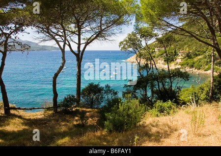 Isola d'Elba paesaggi acquatici, Toscana, Italia Foto Stock