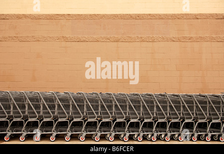 Carrelli di shopping schierate contro una parete del supermercato, Newton, New Jersey, STATI UNITI D'AMERICA Foto Stock