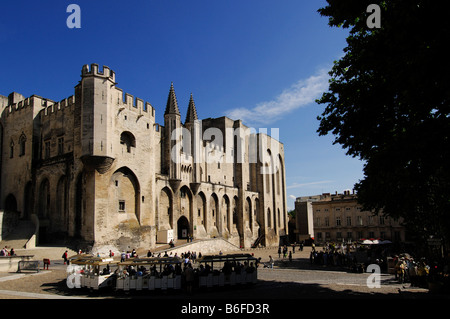 Il Palazzo dei Papi di Avignone, Provence, Francia Foto Stock