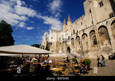 Il Palazzo dei Papi di Avignone, Provence, Francia Foto Stock