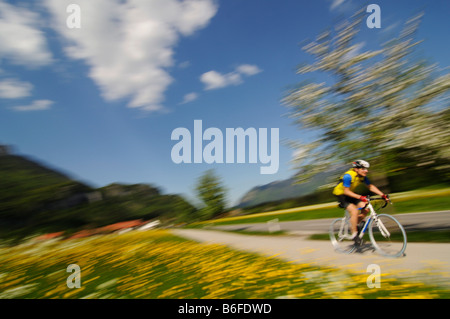 Corridori ciclisti passante riempito di fiori di prati e una fioritura di alberi da frutta vicino Schleching, Chiemgau, Baviera, Germania, Europa Foto Stock