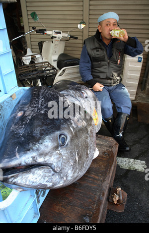 Giappone Tokyo il Mercato del Pesce di Tsukiji Foto Stock