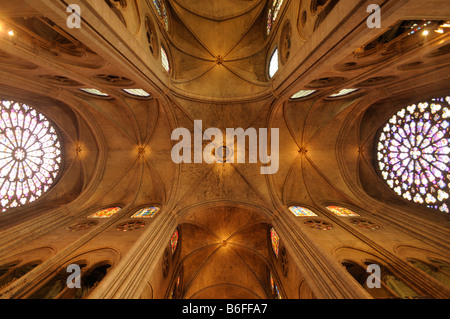 Archivio di Notre Dame de Paris, la cattedrale di Notre Dame, Paris, Francia, Europa Foto Stock