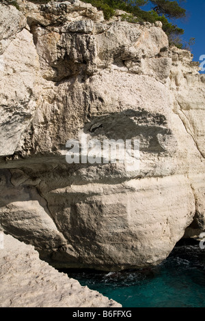 Roccia calcarea faccia Foto Stock