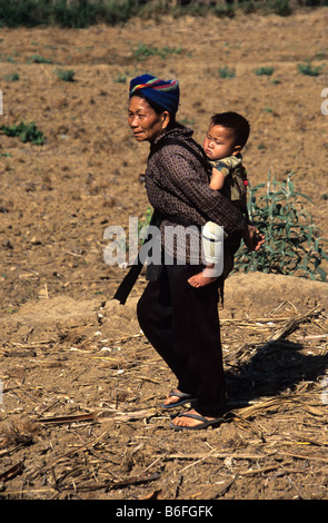 Una donna Hmong porta a suo nipote sulla sua schiena vicino a Phonsavan, Xieng Khuang Provincia, Laos Foto Stock