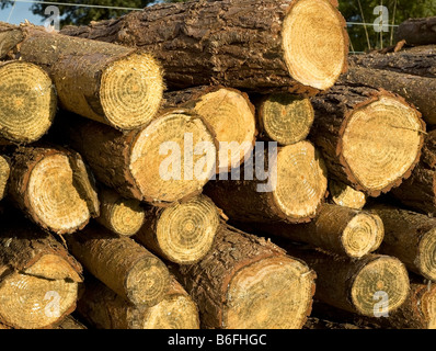 Impilati ciocchi di legna, esterna Foto Stock
