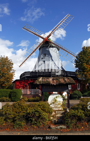 Il mulino a vento storico in stile olandese, Pirsch Mill, Hamfeld Mill, ristorante, hotel, Hamfelde, Herzogtum Lauenburg, Schleswig-Holste Foto Stock