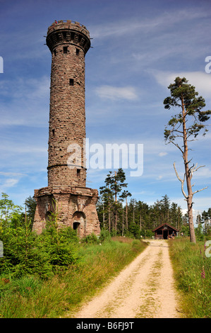 Torre Friedrichsturm, Badener-Hoehe, Westweg, Forbach, Schwarzwald o Foresta Nera Baden-Wuerttemberg, Germania, Europa Foto Stock