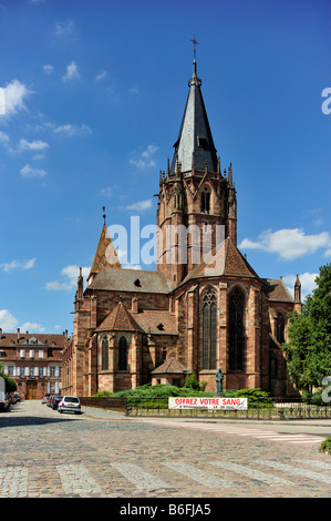 Chiesa di San Pietro e Paolo, Abbatiale Saints Pierre et Paul, Wissembourg, Nordvogesen Riserva Naturale, Vogesen, Alsazia, Francia Foto Stock