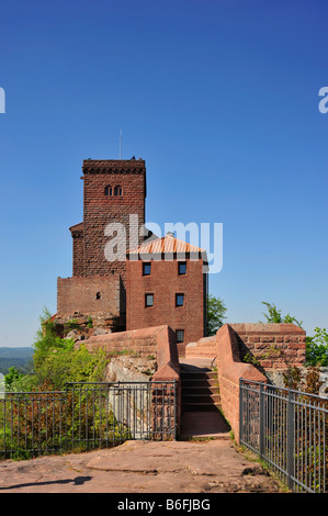 Fortezza di Trifels, Annweiler, Naturpark Pfaelzerwald Natura Park, Renania-Palatinato, Germania, Europa Foto Stock