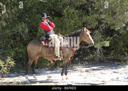 Un cowboy alla ricerca di curiosi a cavallo Foto Stock