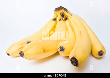 Banane Foto Stock