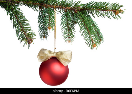 Pallina di natale appeso sull'abete rosso ramoscello. Copia bianca spazio. aRGB. Foto Stock