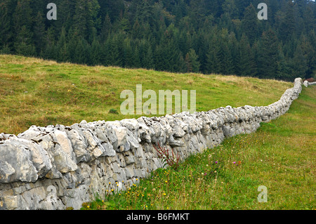 Asciugare la parete in pietra, tradizionale pascolo scherma nel Giura, Col du Marchairuz, Cantone di Vaud, Svizzera, Europa Foto Stock