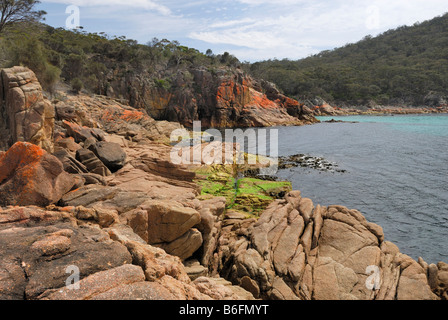 Rosso di rocce di granito in Sleepy Bay parzialmente coperto da un lichene, Penisola di Freycinet, Tasmania, Australia Foto Stock