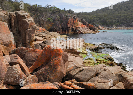 Rosso di rocce di granito in Sleepy Bay parzialmente coperto da un lichene, Penisola di Freycinet, Tasmania, Australia Foto Stock
