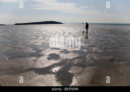 Uomo retroilluminato con un cane su una spiaggia isolata Foto Stock