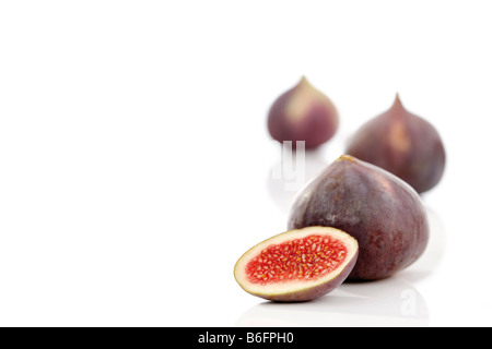 Comune fig (Ficus carica) Foto Stock