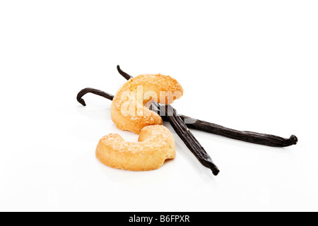 Vanillekipferl, a forma di mezzaluna, biscotti con vaniglia Fagioli baccelli Foto Stock