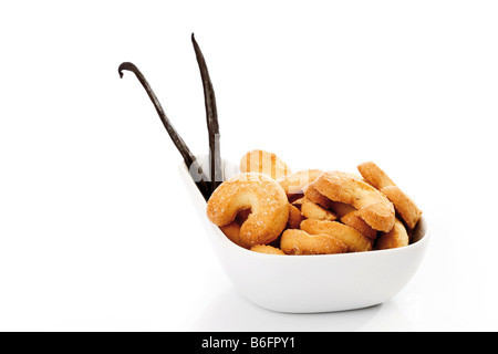 Vanillekipferl, a forma di mezzaluna, biscotti con vaniglia Fagioli baccelli in una ciotola bianco Foto Stock