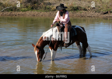 Un cowgirl avente il suo cavallo bere da un laghetto mentre a cavallo Foto Stock