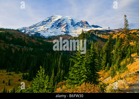 Snow capped Mount Rainier con Autunno a colori in Paradise Valley, il Parco Nazionale del Monte Rainier, Washington Foto Stock