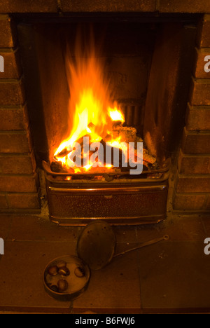 Castagne arrostite da un fuoco aperto Foto Stock