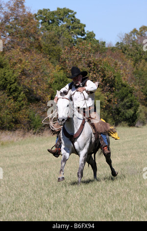 Un cowboy in funzione a pieno regime sul suo cavallo bianco nel campo di fieno del Texas Foto Stock