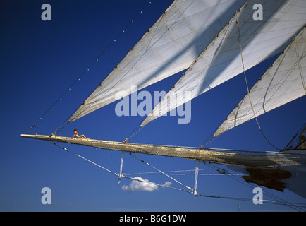 Veliero Star Flyer Croazia Foto Stock