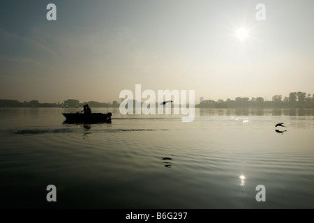 Tre anatre nuoto e due doppie suns shining in acqua di lago Kralingse Rotterdam Paesi Bassi Serata nebbia Foto Stock