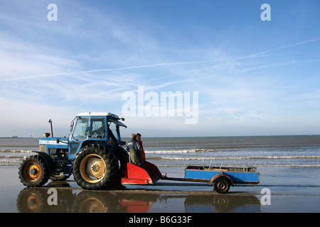 Trattore tirando sea net la pesca di ricerca sulle scienze della vita marina acqua poco profonda spiaggia Hoek van Holland Olanda Foto Stock