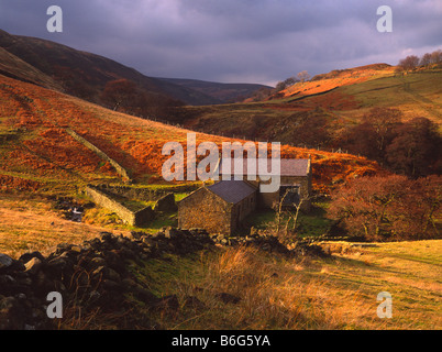 Blackden fienile (National Trust) accanto a Blackden Brook, boschi Valle (Snake Pass), il Parco Nazionale di Peak District, Derbyshire Foto Stock