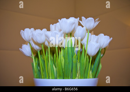 Vaso di fiori di tulipani in ambienti chiusi. Foto Stock