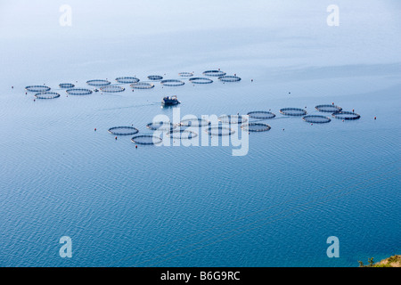 Fattoria di Pesce - Cefalonia, Grecia, Europa Foto Stock