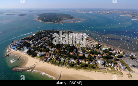 Barene e Brownsea Island, Dorset, Gran Bretagna, Regno Unito Foto Stock