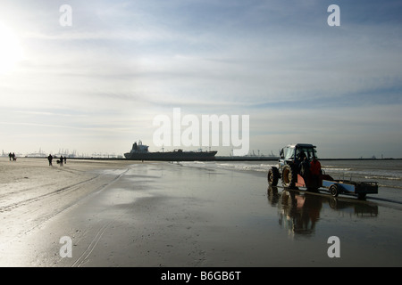 Trattore tirando sea net la pesca di ricerca sulle scienze della vita marina acqua poco profonda spiaggia Hoek van Holland Olanda Foto Stock