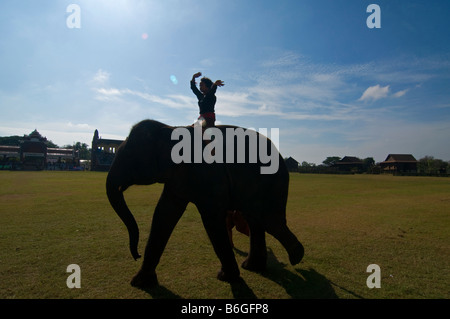Ragazzo mahout in sella al suo elefante a l'Elefante Roundup in Surin Thailandia Foto Stock