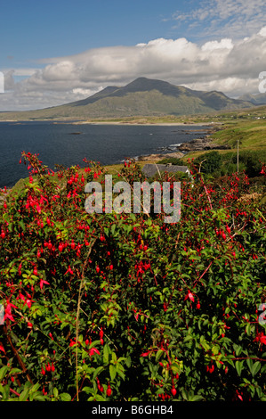 Connemara Mweelrea montagna vicino a lettergesh County Galway Irlanda occidentale irlandese rurale scena di paesaggio Foto Stock