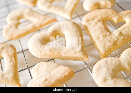 A forma di cuore biscotti allo zenzero prevista su una griglia di raffreddamento. Essi sono stati quindi confezionato in scatole piccole per dare per i regali di Natale. Foto Stock