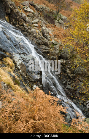 Latte acido Gill che cade dal fells vicino a Seathwaite nel percorso di grande timpano Lake District Cumbria Regno Unito Foto Stock