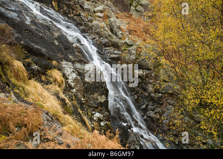 Latte acido Gill che cade dal fells vicino a Seathwaite nel percorso di grande timpano Lake District Cumbria Regno Unito Foto Stock