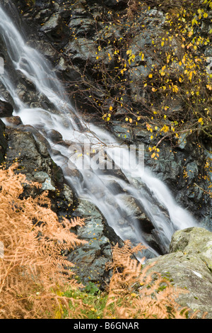 Latte acido Gill che cade dal fells vicino a Seathwaite nel percorso di grande timpano Lake District Cumbria Regno Unito Foto Stock